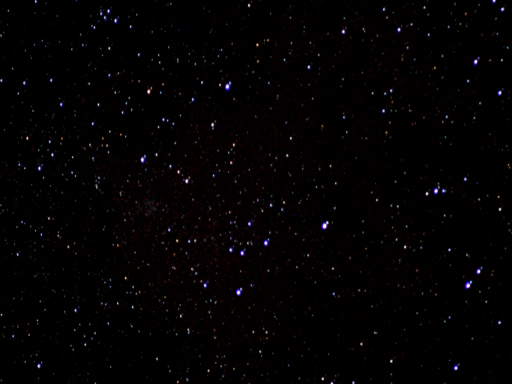 Pseudo's House ＆ Pond