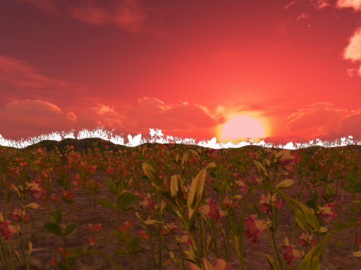 Sleepys and Rileys Garden