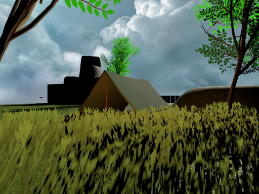 A forest in the clouds