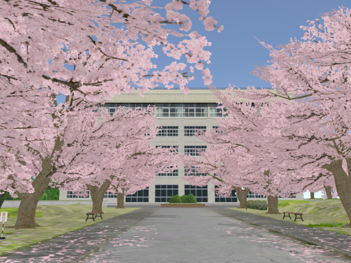 SAKURA SCHOOL