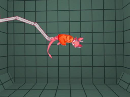 five pebble Iterator rain cycle