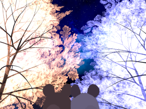 Aki Starry Sky Villa