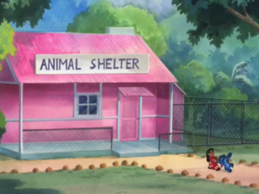 ANIMAL SHELTER