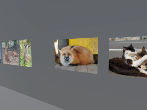 ビジホマンの写真館（仮）