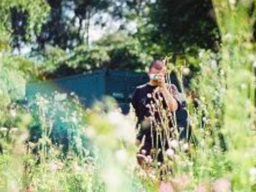 Plats 3rd Avatar World