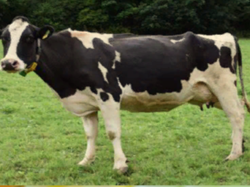 you smell like an ant