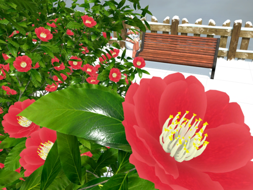 곧 봄이 올 것이다․ Spring is coming soon․ 春はすぐそこ