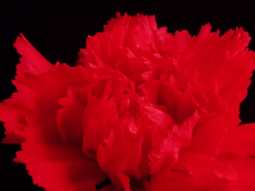 Hellraiser Hospital Room