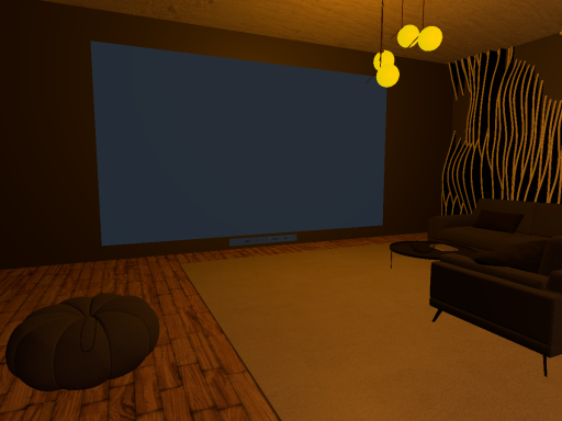 Video room