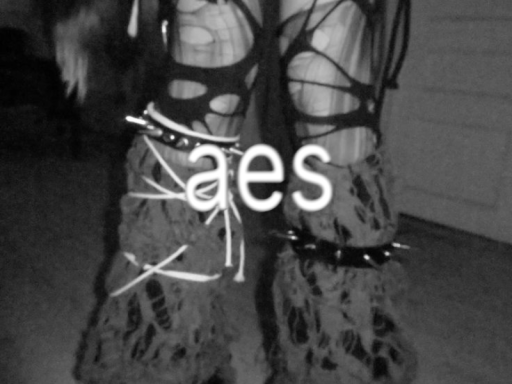 aes' avatar world ǃ