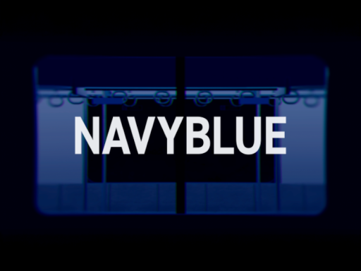 NAVYBLUE